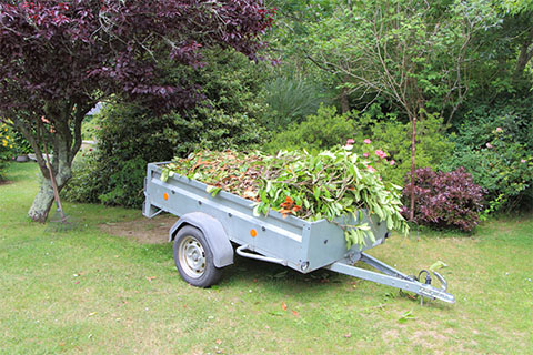 Trailers With Leaves