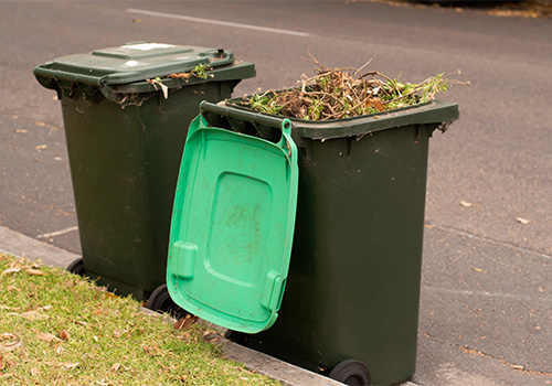 What Can You Put In A Green Waste Bin